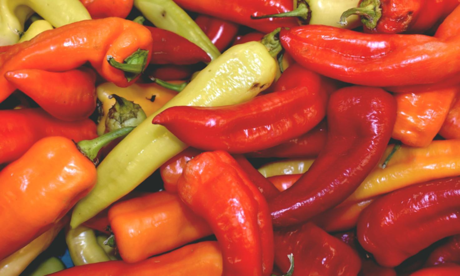 Meal preparation workspace at Salvatore